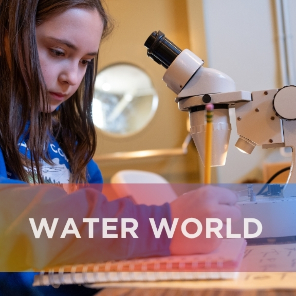 WATER WORLD HOME TILE