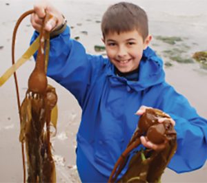 youth on Port Townsend beach with seaweed