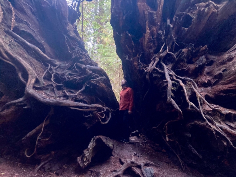 EcoEmbodied Roots Image by T Lockyer_5976
