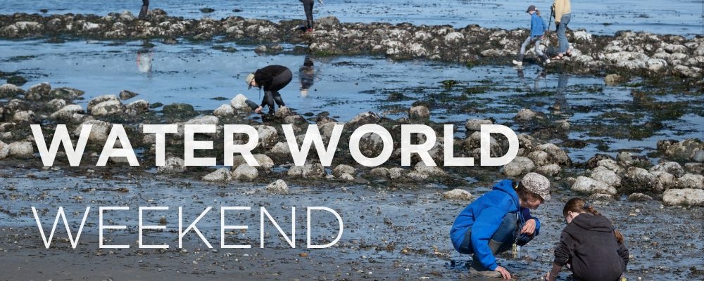 WATER WORLD WEEKEND WEBSITE BANNER